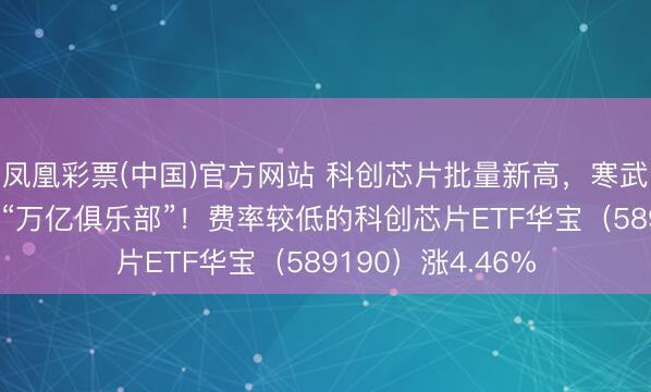 凤凰彩票(中国)官方网站 科创芯片批量新高，寒武纪猛攻14%剑指“万亿俱乐部”！费率较低的科创芯片ETF华宝（589190）涨4.46%